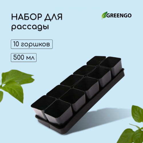 Набор для рассады: стаканы по 500 мл (10 .), поддон 40 × 19,5 см, МИКС, Greengo