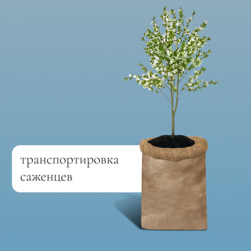 Мешок джутовый, 74 × 114 см, плотность 30 × 35 нитей, без завязок, Greengo