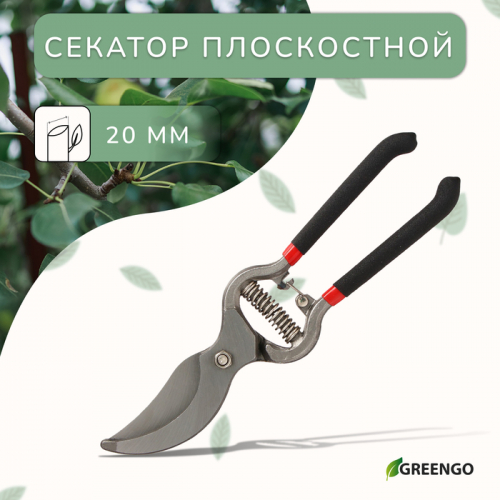 Секатор плоскостной, 10