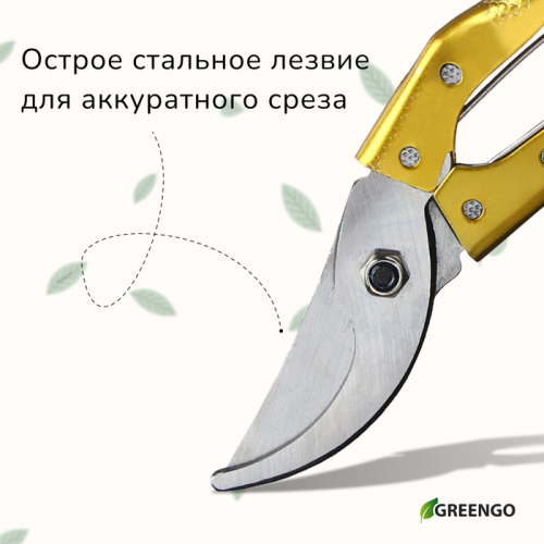 Секатор плоскостной, 8
