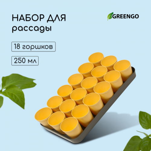 Набор для рассады: стаканы по 250 мл (18 .), поддон 40 × 20 см, цвет МИКС, Greengo