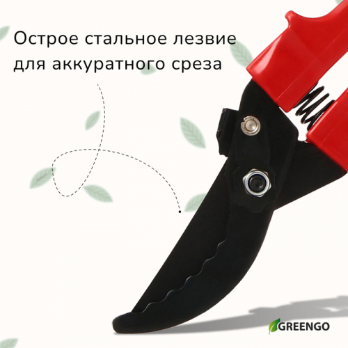 Секатор плоскостной, 9