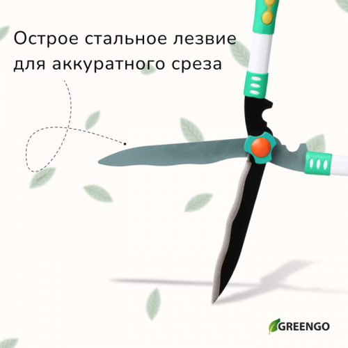 Кусторез, 19