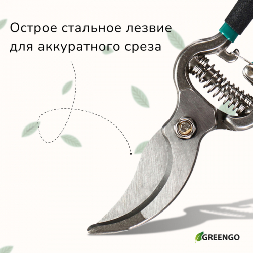 Секатор плоскостной, 8
