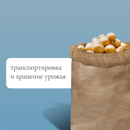 Мешок джутовый, 74 × 114 см, плотность 30 × 35 нитей, без завязок, Greengo