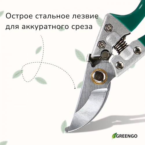 Секатор плоскостной, 8