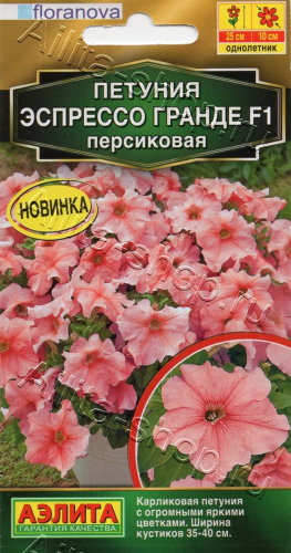 Петуния Эспрессо Гранде F1 персиковая 7 шт. Сел. Floranova Золотая серия
