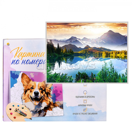 Холст с красками 40х50 по номерам 
