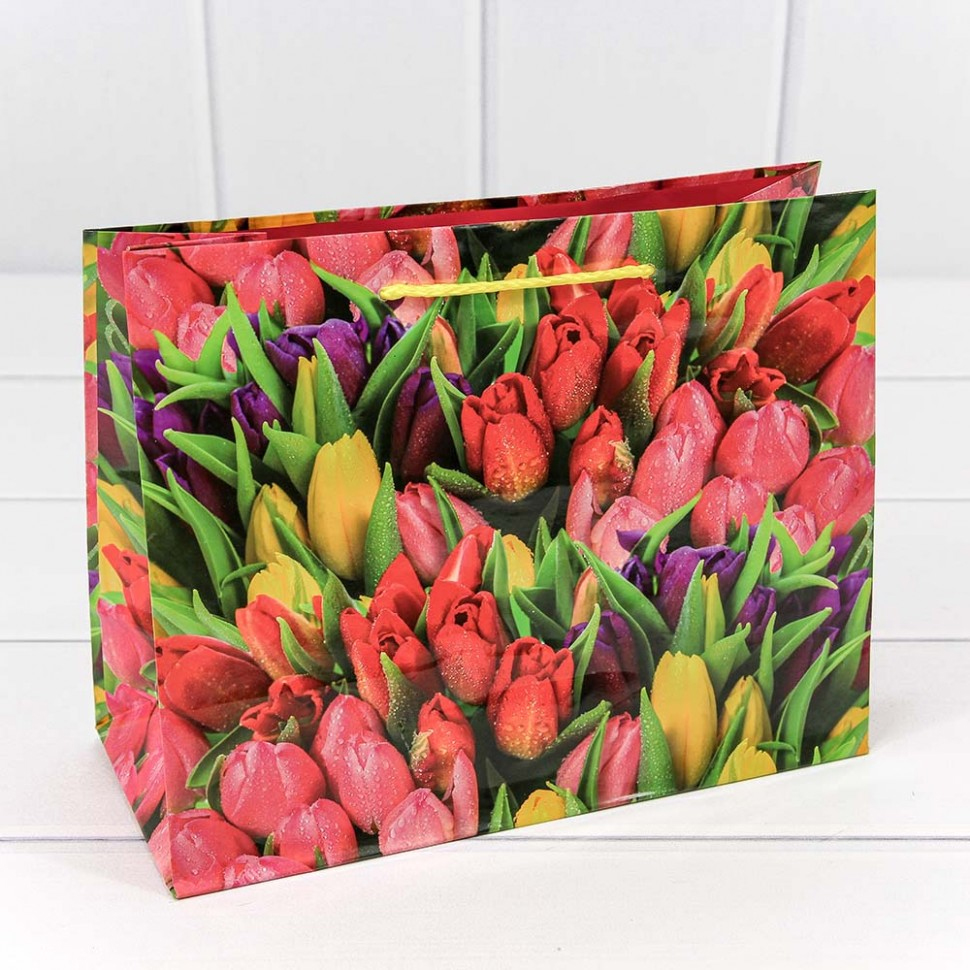 Пакет бумажный 23*18*10см с ручками