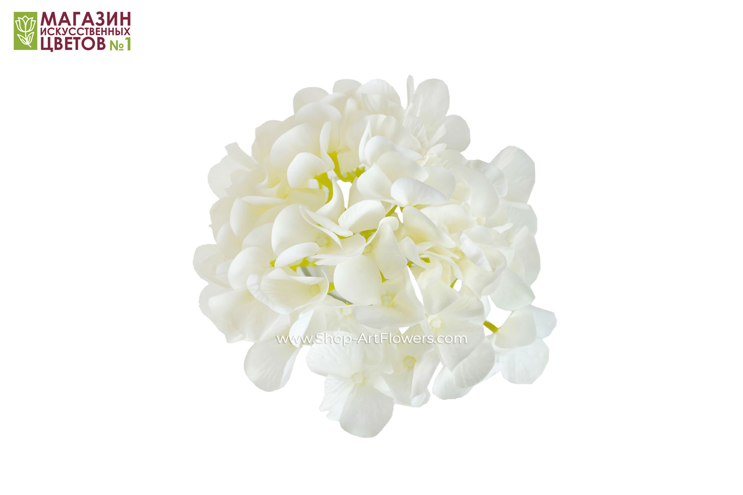 Соцветие гортензии, диаметр 18 см. (белый)