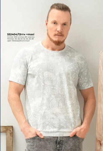  АКЦИЯ 600р. 799р.CLE Футболка муж. 552404/13ггн