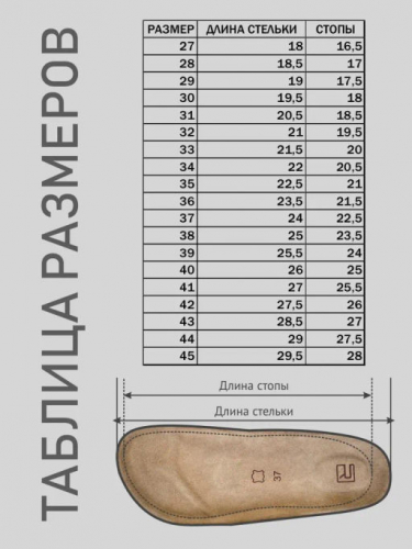 сабо, цвет фиолетовый