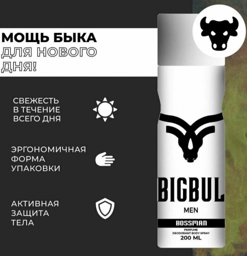 ШОК-цена! BIGBUL  - Дезодорант для мужчин 200мл - Bossman