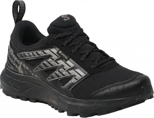 Ботинки мужские WANDER GTX, Salomon