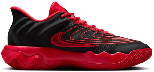 Кроссовки мужские GIANNIS IMMORTALITY 4, Nike