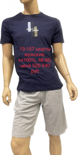  416  520р Шорты мужские 13-157