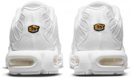 Кроссовки женские Nike Air Max Plus, Nike