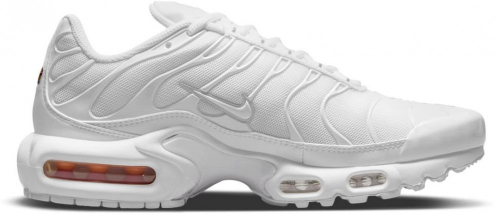 Кроссовки женские Nike Air Max Plus, Nike