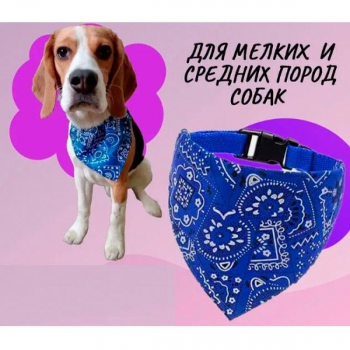 Ошейник с банданой для кошек и собак мелких пород 