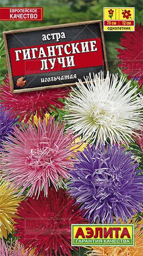 Ц Астра Гигантские лучи смесь // Аэлита