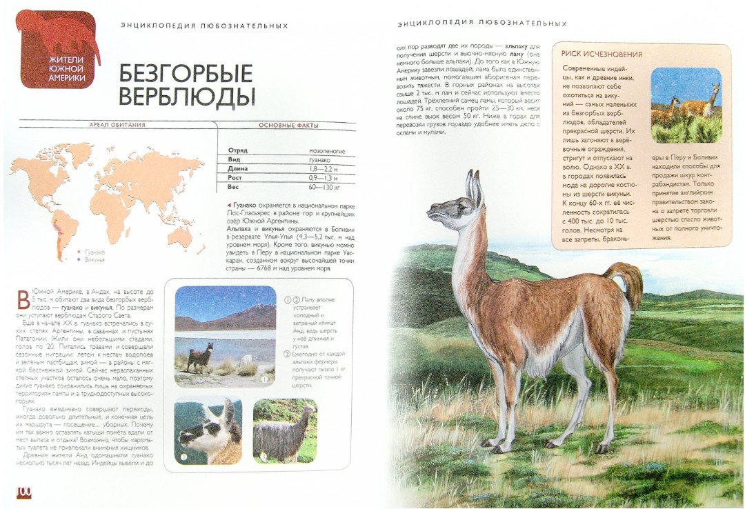 198 руб. +% 1923 руб. В наличии 1 шт.!!! ЖИВОТНЫЕ. Энциклопедия любознательных. Аванта.