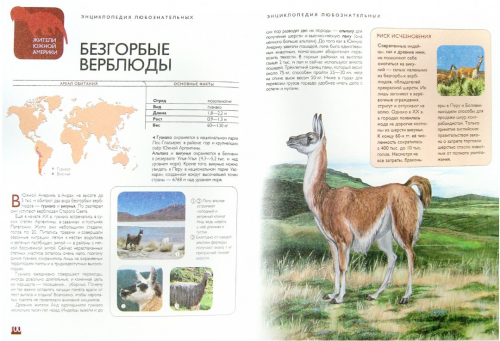  198 руб. +% 1923 руб. В наличии 1 шт.!!! ЖИВОТНЫЕ. Энциклопедия любознательных. Аванта.