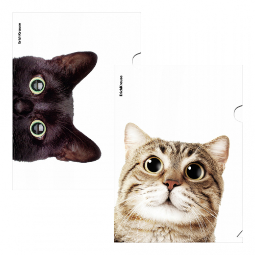 АКЦИЯ 25р. 40р.Папка-уголок пластиковая ErichKrause Hiding Cats, A4, ассорти (в пакете по 12 шт.)