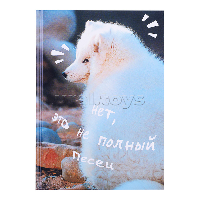 Книги для записей А5