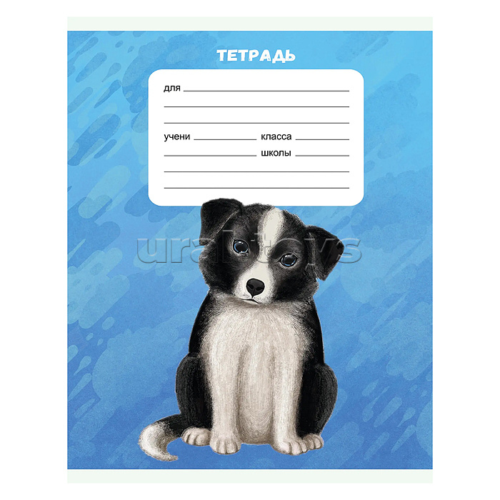 Тетрадь 18л. А5, линия