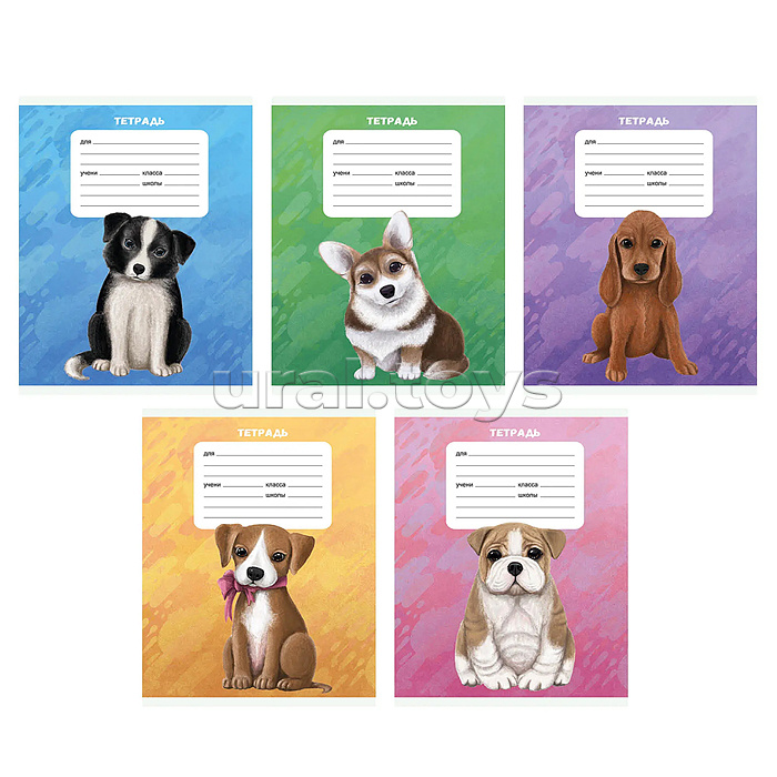 Тетрадь 18л. А5, линия