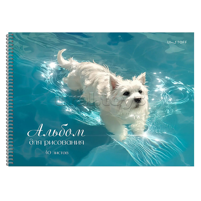 Альбом для рисования 40л. гребень