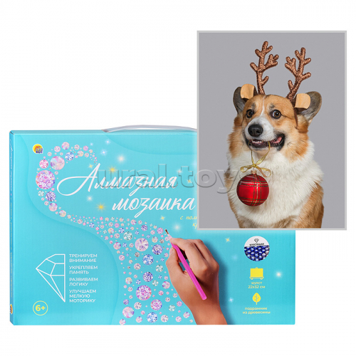 Алмазная мозаика 22х32 
