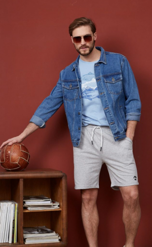 Футболка F311-06-734 grey-blue