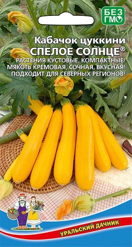 Кабачок Спелое солнце // Уральский Дачник