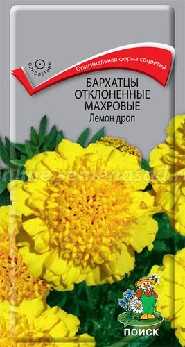 Ц Бархатцы Лемон Дроп 0,4г// Поиск