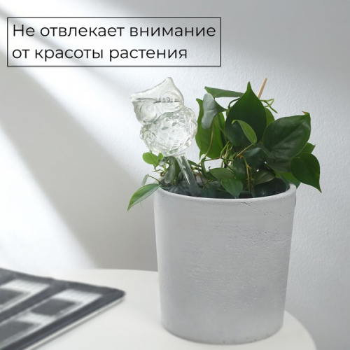 Автополив для комнатных растений «Сова», 200 мл, ПВХ, Greengo