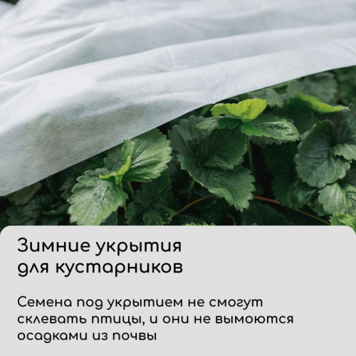Материал укрывной, 10×1.6 м, плотность 42 г/м², спанбонд с УФ-стабилизатором, белый, Greengo, Эконом 30%