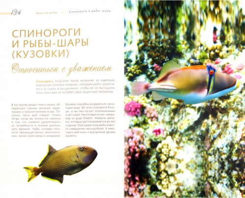  198 руб. +% 952 руб. В наличиит 1 шт.!!! МОРСКОЙ АКВАРИУМ. Тристан Логер