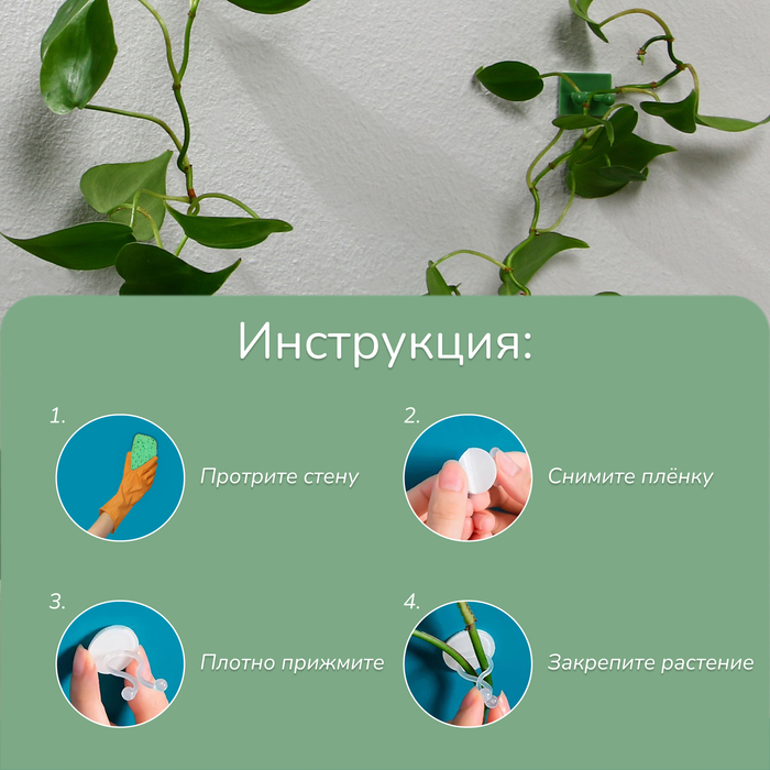 Крепления для вьющихся растений, самоклеящиеся, d=9 мм, цвет МИКС, Greengo