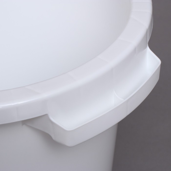 Бак пищевой, 20 л, пластиковый, с крышкой, МИКС