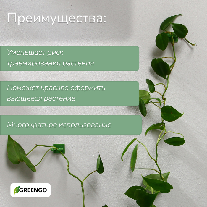 Крепления для вьющихся растений, самоклеящиеся, d=15 мм, цвет МИКС, Greengo