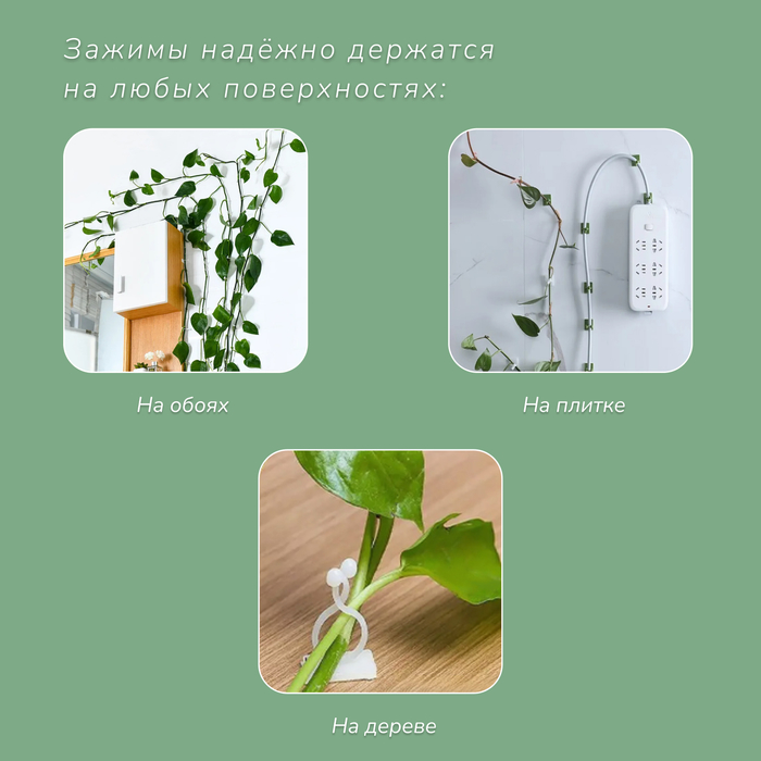 Крепления для вьющихся растений, самоклеящиеся, d=9 мм, цвет МИКС, Greengo