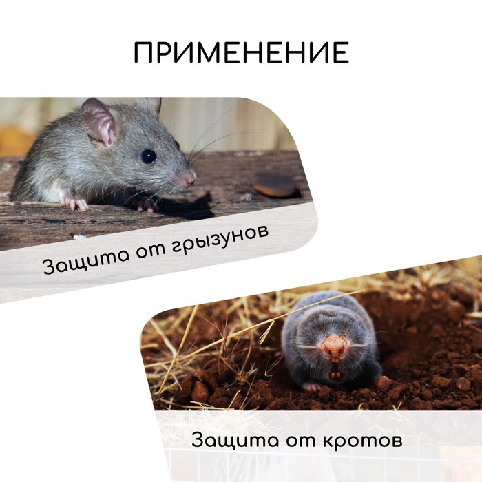 Сетка оцинкованная, сварная, 10×1 м, ячейка 6×6 мм, d=0.4 мм, Greengo