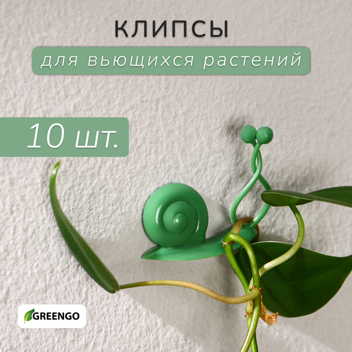 Крепления для вьющихся растений, настенные, самоклеящиеся, «Улитка», d=10 мм, набор 10 шт., Greengo