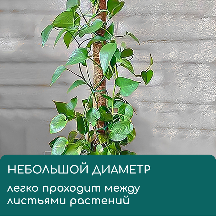 Опора для подвязки растений, h=60 см, d=5 см, кокосовая, Greengo