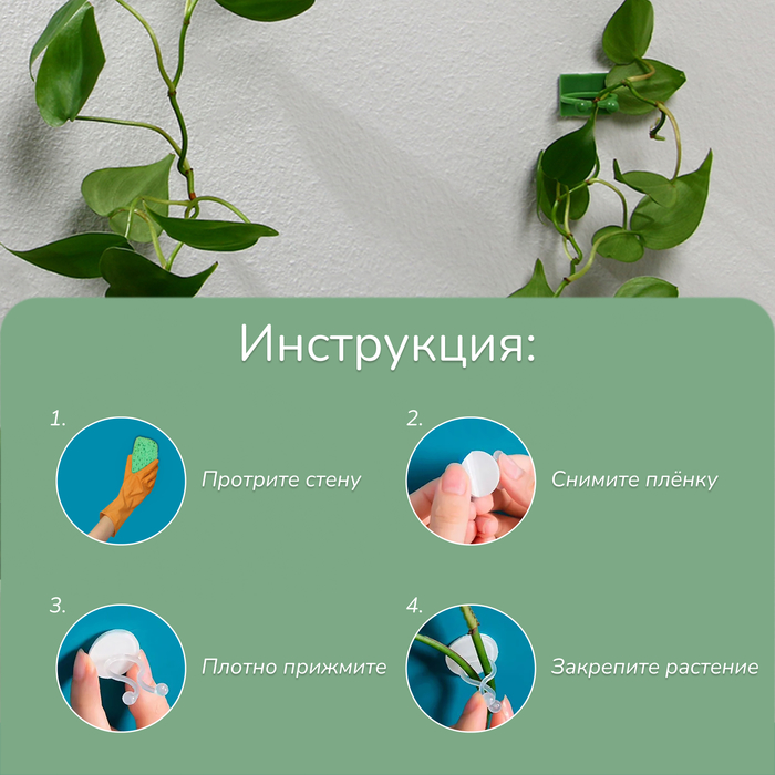 Крепления для вьющихся растений, самоклеящиеся, d=15 мм, цвет МИКС, Greengo