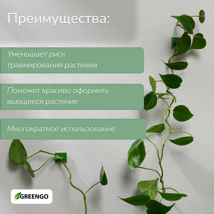Крепления для вьющихся растений, самоклеящиеся, d=9 мм, цвет МИКС, Greengo