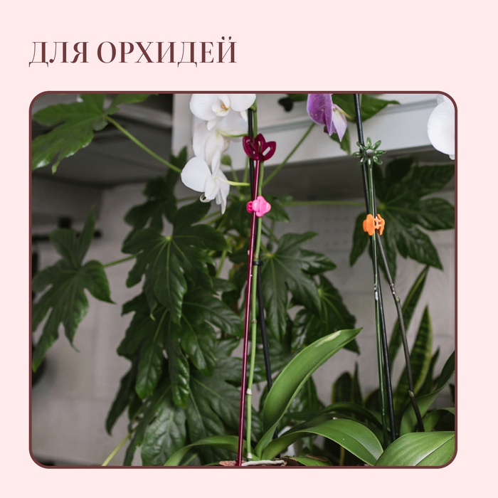 Опора для орхидей, h=44 см, пластик, малиновая, МИКС
