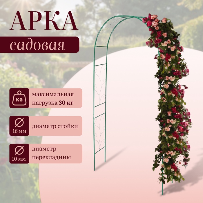 Арка садовая, 240×120×36.5 см, для вьющихся растений, металлическая, зелёная, «Веточка», Greengo
