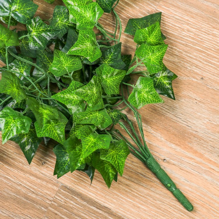 Лиана искусственная «Листья плюща», 80 см